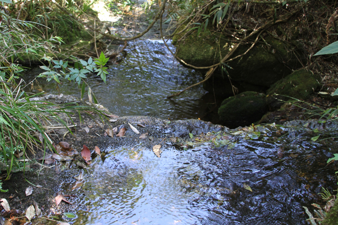 Parque Nacional do Itatiaia: Abriga a nascente do Rio Grande.