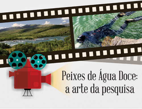 Documentário “Peixes de Água Doce – a Arte da Pesquisa” estreia em setembro com exibição em cinema itinerante
