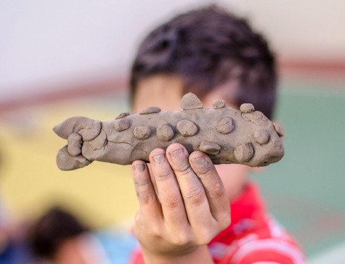 Oficinas de escultura mostram percepção morfológica dos peixes pelos alunos